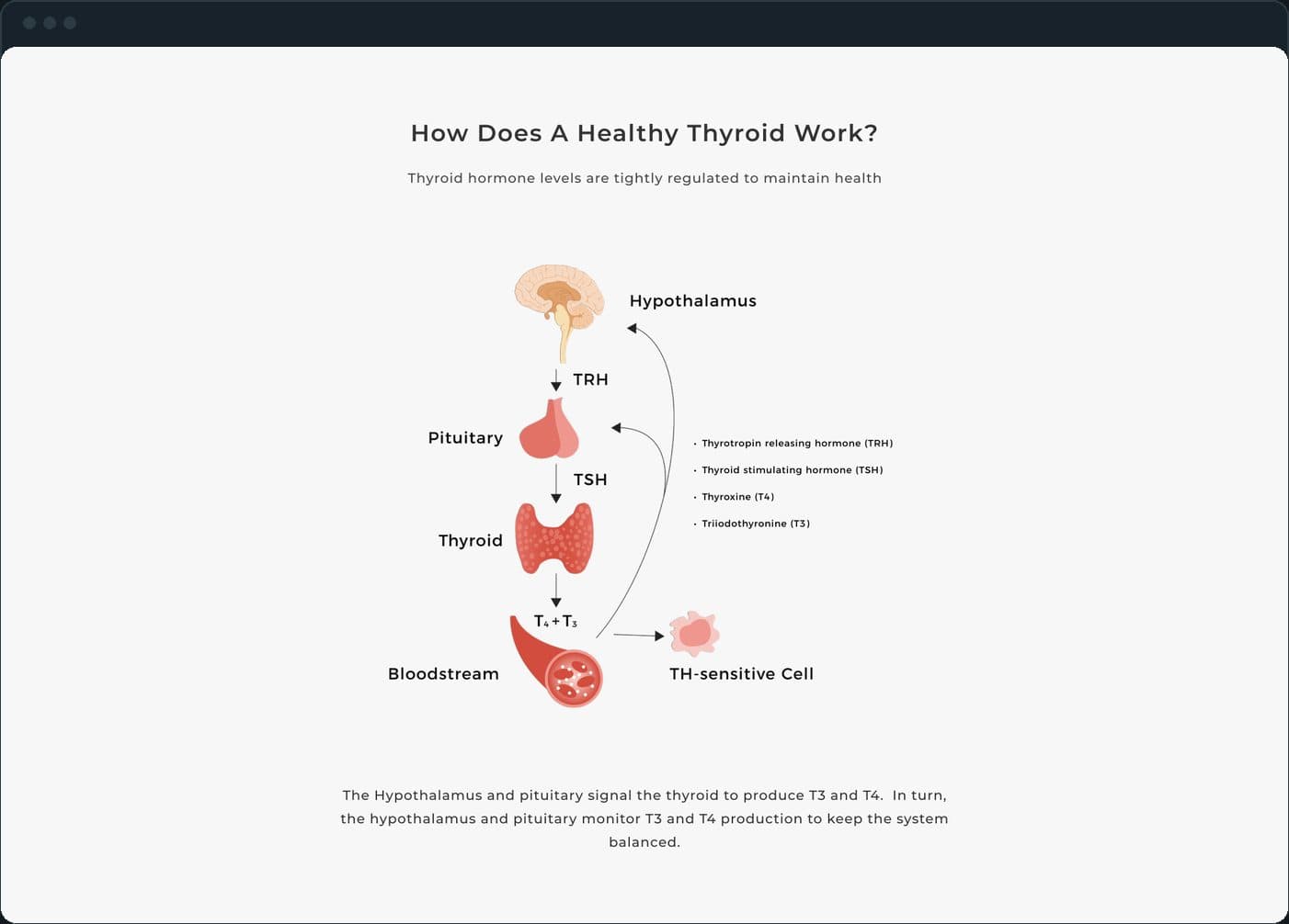 Dr. McIver, MD: How does it explain hypothyroidism?